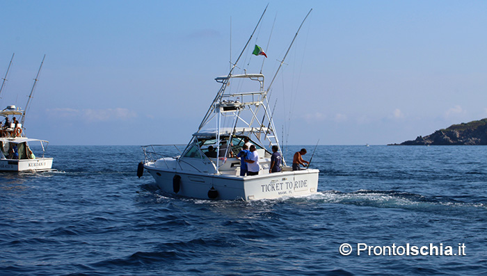 Il racconto del 54esimo campionato italiano di traina d'altura disputatosi a Forio