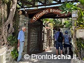Giardini Ravino: Natura, Relax e Cultura sull’isola d’Ischia 2