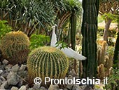 Giardini Ravino: Natura, Relax e Cultura sull’isola d’Ischia 3